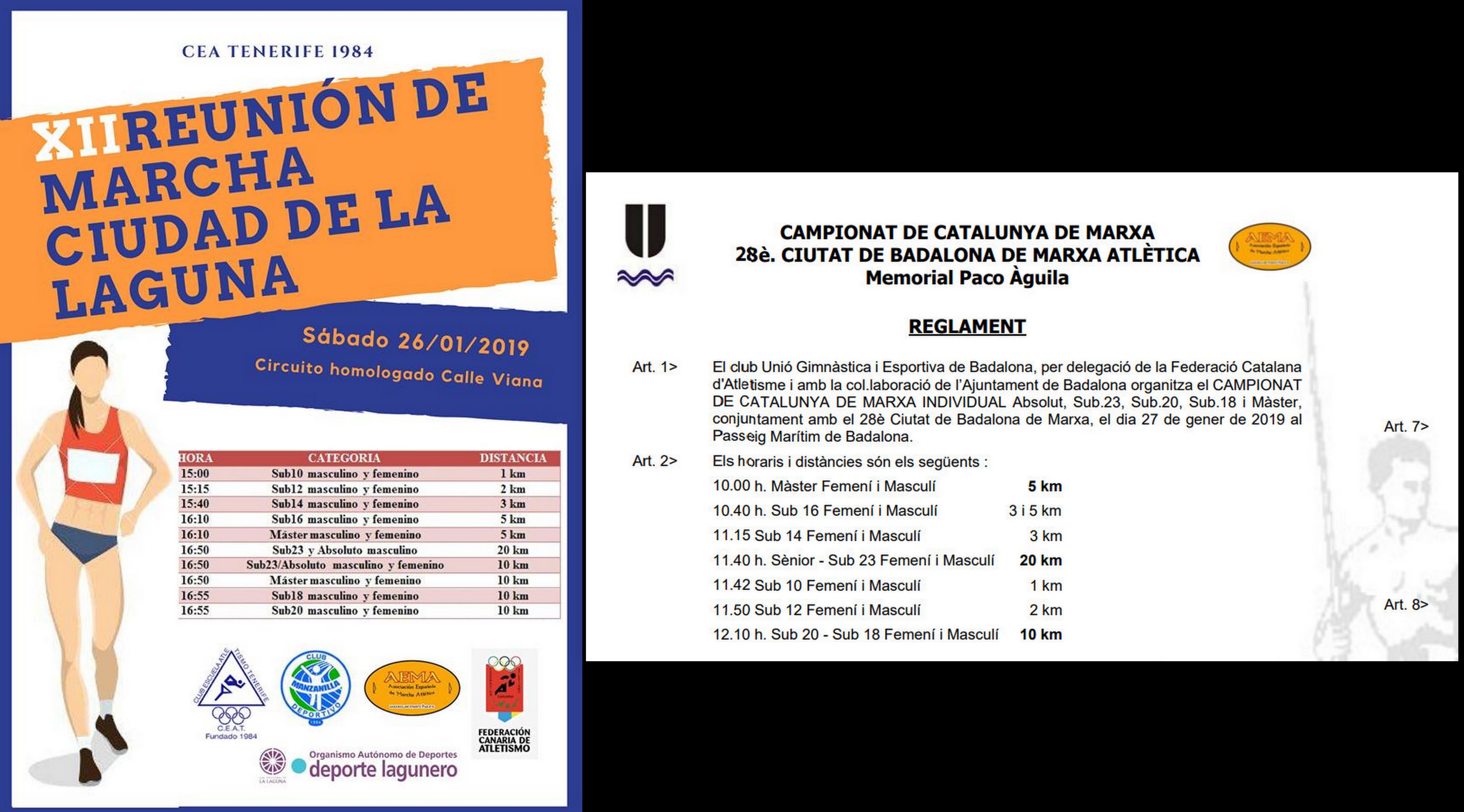 Toda la marcha nacional pendiente de Badalona y La Laguna